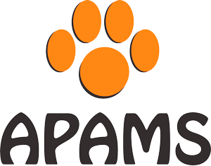 MÍSTICO - APAMS - Associação Protetora dos Animais do Município de Sinop
